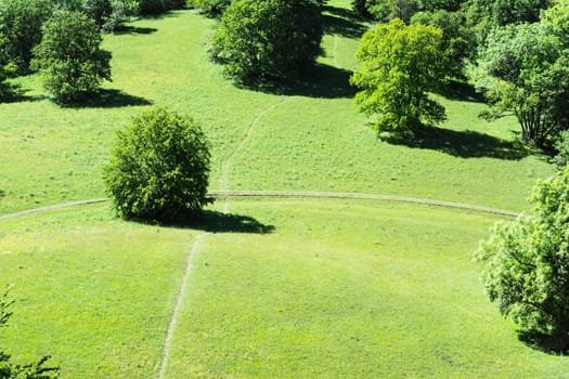 Forest Field Grassy Summer Day Green Flowers MountainBeautiful Nature