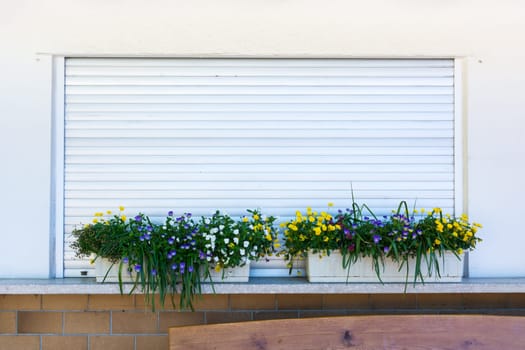 Flower Planter Box Grass over Closed Metal Rolladen German Shop Closing Time Wall Straight