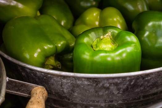 Green Bell Peppers in Rustic Vintage Local Metal Bucket Farmer Market