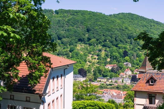 Heidelberg Hills Green Landscape Heiliggeistkirche German Destination Travel Summer Blue Sky Day