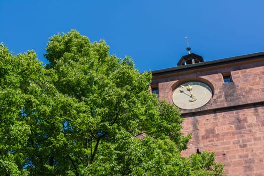 Heidelberg Schloss Castle Interior Architecture Germany European Historical Ancient