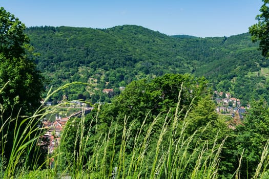Heidelberg View over Baden-Wuerttemberg Neckar River Landscape Europe High Altitude Summer Blue Sky