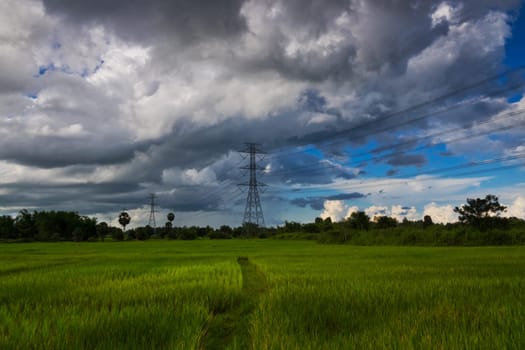 landscape with electricity pylons in the rice field and dramatic clouds