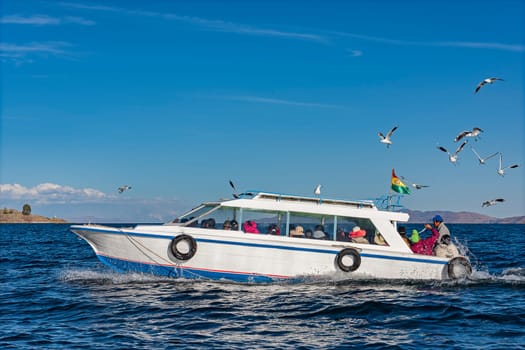Boat with seagulls,Lake Titicaca,3800m above sea level,Bolivia,South America