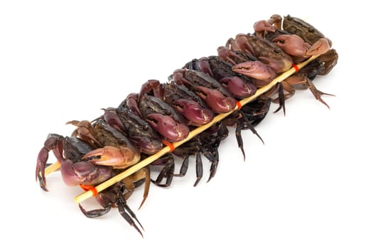 close up of skewered crabs, traditional food in asia