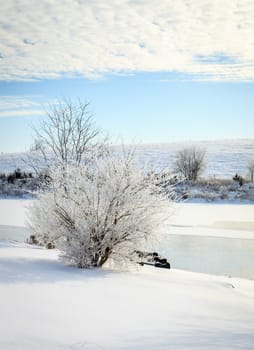 Beautiful winter morning on a small lake near Georgetown, Kentucky