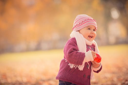 Beautiful outdoor autumn portrait of adorable toddler girl