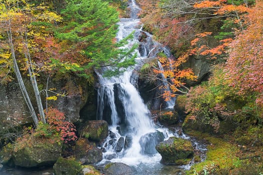 Ryuzu Waterfall means "dragon head waterfall"" in Japanese. The name comes from the shape of the falls, which resembles the head of a dragon. The waterfall is located on Yukawa River, shortly before the river discharges into Lake Chuzenji. This photo was shot in autumn"