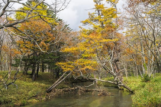 Nikko is well known for its scenic beauty surrounded by natural attractions such as mountains, marshlands, and lakes. It is also very popular for those who love to hiking or trekking. This photo was shot in autumn.