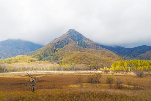 Nikko is well known for its scenic beauty surrounded by natural attractions such as mountains, marshlands, and lakes. It is also very popular for those who love to hiking or trekking. This photo was shot in autumn.