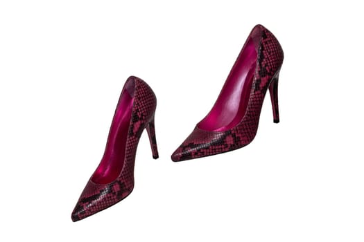 Fashionable female high heels. A pair of purple high-heeled female shoes isolated on a white background. Shoes from snakeskin imitation.