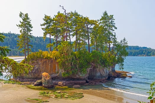 Verdant Coastal Island at Low Tide in on the coast of the Olympic Peninsula at Salt Creek Recreation Area in Washington