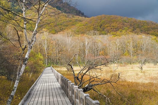 Nikko is well known for its scenic beauty surrounded by natural attractions such as mountains, marshlands, and lakes. It is also very popular for those who love to hiking or trekking. This photo was shot in autumn.