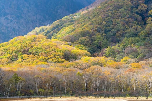 Nikko is well known for its scenic beauty surrounded by natural attractions such as mountains, marshlands, and lakes. It is also very popular for those who love to hiking or trekking. This photo was shot in autumn.