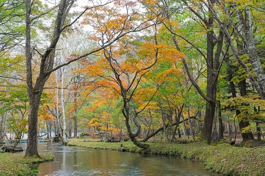 Nikko is well known for its scenic beauty surrounded by natural attractions such as mountains, marshlands, and lakes. It is also very popular for those who love to hiking or trekking. This photo was shot in autumn.