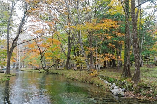 Nikko is well known for its scenic beauty surrounded by natural attractions such as mountains, marshlands, and lakes. It is also very popular for those who love to hiking or trekking. This photo was shot in autumn.