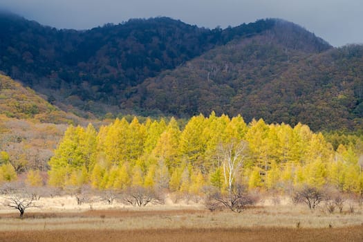 Nikko is well known for its scenic beauty surrounded by natural attractions such as mountains, marshlands, and lakes. It is also very popular for those who love to hiking or trekking. This photo was shot in autumn.