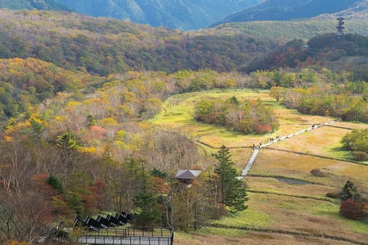 Kirifuri highland is the area on the southeastern side of Mount Akanagi. It is located to the north within a range of 3 to 8 km from central Nikko city. Most of area is located at the level of over 1,000 meters, and grassland and forests spread.