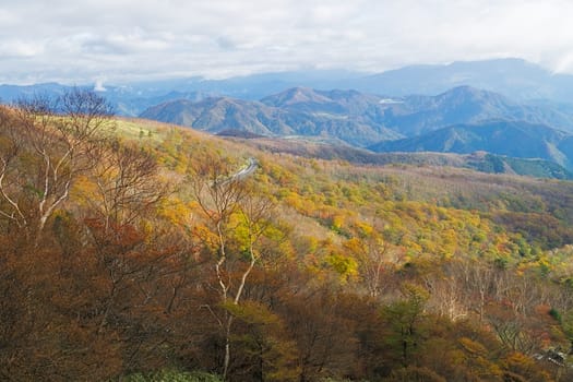 Kirifuri highland is the area on the southeastern side of Mount Akanagi. It is located to the north within a range of 3 to 8 km from central Nikko city. Most of area is located at the level of over 1,000 meters, and grassland and forests spread.