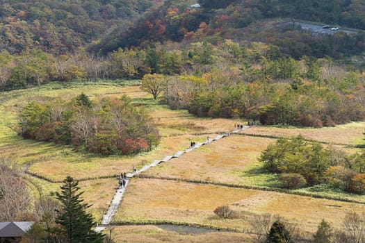 Kirifuri highland is the area on the southeastern side of Mount Akanagi. It is located to the north within a range of 3 to 8 km from central Nikko city. Most of area is located at the level of over 1,000 meters, and grassland and forests spread.