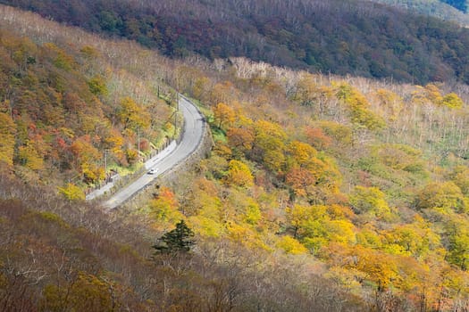 Kirifuri highland is the area on the southeastern side of Mount Akanagi. It is located to the north within a range of 3 to 8 km from central Nikko city. Most of area is located at the level of over 1,000 meters, and grassland and forests spread.