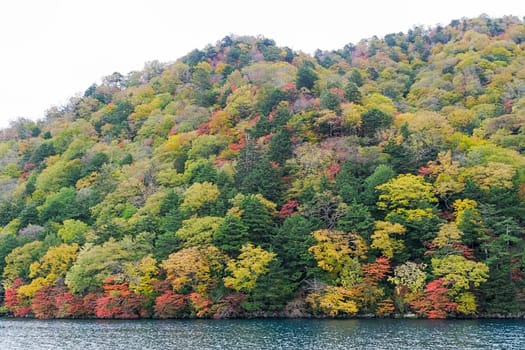 Lake Chuzenji is a scenic lake in the mountains above the town of Nikko. It is located at the foot of Mount Nantai, Nikko's sacred volcano, whose eruption blocked the valley below, thereby creating Lake Chuzenji about 20,000 years ago. This photo was shot in autumn