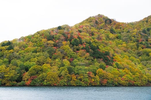 Lake Chuzenji is a scenic lake in the mountains above the town of Nikko. It is located at the foot of Mount Nantai, Nikko's sacred volcano, whose eruption blocked the valley below, thereby creating Lake Chuzenji about 20,000 years ago. This photo was shot in autumn