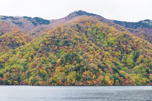 Lake Chuzenji is a scenic lake in the mountains above the town of Nikko. It is located at the foot of Mount Nantai, Nikko's sacred volcano, whose eruption blocked the valley below, thereby creating Lake Chuzenji about 20,000 years ago. This photo was shot in autumn
