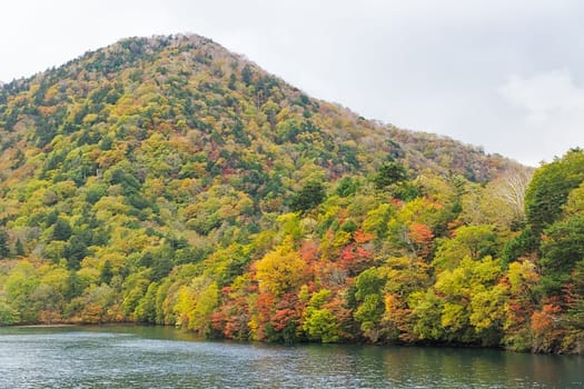 Lake Chuzenji is a scenic lake in the mountains above the town of Nikko. It is located at the foot of Mount Nantai, Nikko's sacred volcano, whose eruption blocked the valley below, thereby creating Lake Chuzenji about 20,000 years ago. This photo was shot in autumn