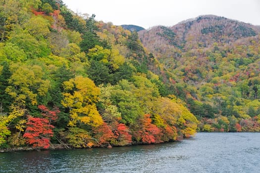 Lake Chuzenji is a scenic lake in the mountains above the town of Nikko. It is located at the foot of Mount Nantai, Nikko's sacred volcano, whose eruption blocked the valley below, thereby creating Lake Chuzenji about 20,000 years ago. This photo was shot in autumn