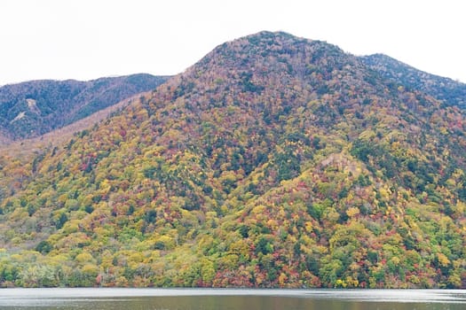 Lake Chuzenji is a scenic lake in the mountains above the town of Nikko. It is located at the foot of Mount Nantai, Nikko's sacred volcano, whose eruption blocked the valley below, thereby creating Lake Chuzenji about 20,000 years ago. This photo was shot in autumn