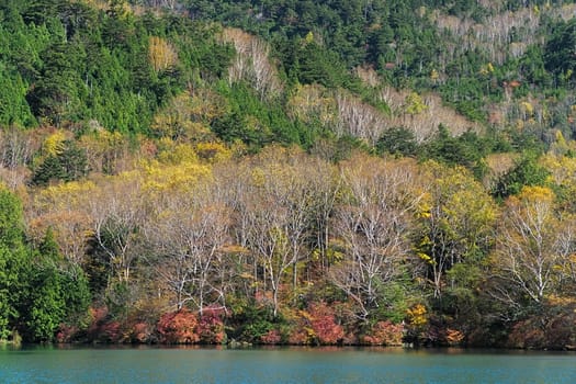 Lake Yunoko is a small lake located just north of Senjogahara marsh and it is located about 6 km north-northwest of Lake Chuzenji. This photo was shot in autumn.