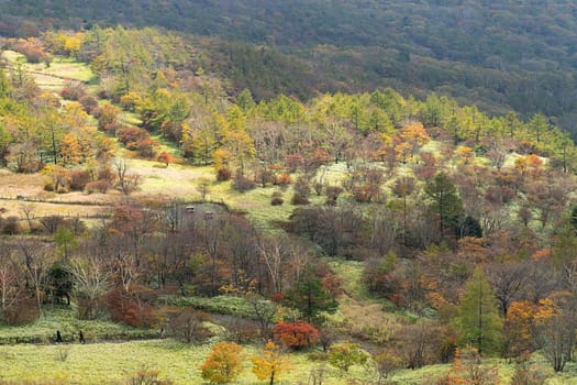 Kirifuri highland is the area on the southeastern side of Mount Akanagi. It is located to the north within a range of 3 to 8 km from central Nikko city. Most of area is located at the level of over 1,000 meters, and grassland and forests spread.