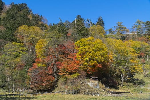 Yumoto is a small hot spring town in the back of Okunikko and part of Nikko National Park. The town is attractively located next to Lake Yunoko and consists mainly of ryokan with hot spring baths.