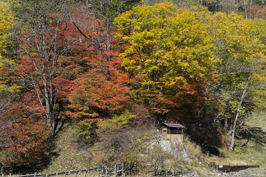 Yumoto is a small hot spring town in the back of Okunikko and part of Nikko National Park. The town is attractively located next to Lake Yunoko and consists mainly of ryokan with hot spring baths.