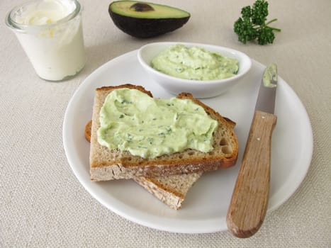 Guacamole with avocado, fresh cheese and parsley on slice of bread