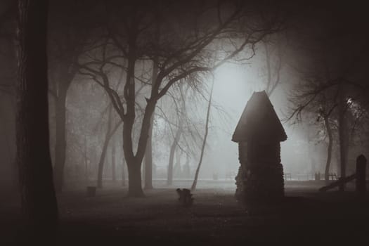 Horror scene of a autumn fog. LIGHTING FILM NOIR STYLE
