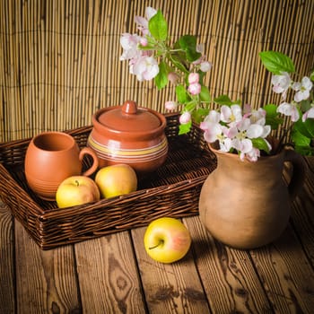 Ripe apple and blossoming branch of an apple-tree in a clay jar, close-up