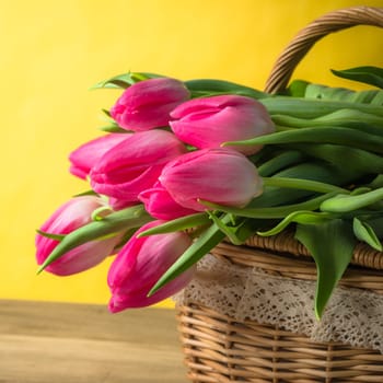 Beautiful bouquet of pink tulips in a wicker basket