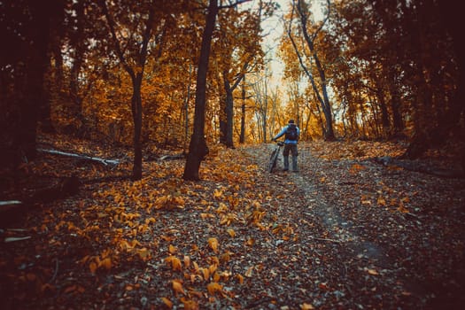 mountain bike race in a forest in denmark