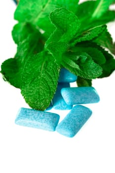blue chewing gum on white - food and drink