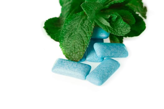 blue chewing gum on white - food and drink