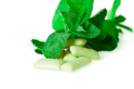 green chewing gum on white - food and drink