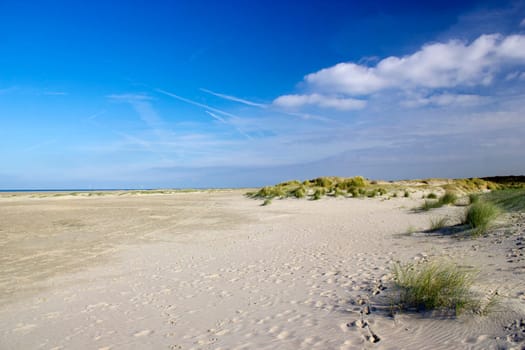 the dunes, Renesse, Zeeland, the Netherlands