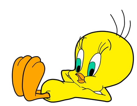 yellow color sleep tweety illustration bird cartoon kids