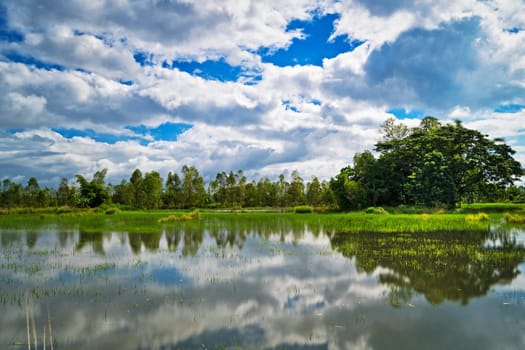 Lake With Reflection Clouds, idyllic landscape with standing water