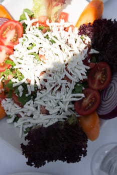 Appetizers
