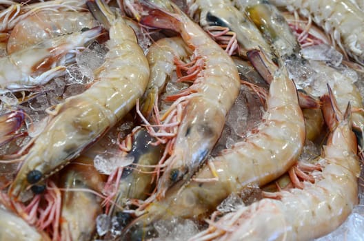 Extra Large Green King Prawns at fish market in Sydney, New South Wales, Australia