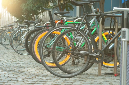 Parking for Bicycles in University with steel bars to lock bikes to.