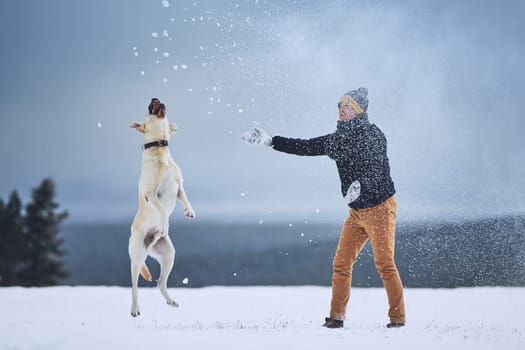Friendship between pet owner and his dog. Young man playing with labrador retriever in winter landscape.
